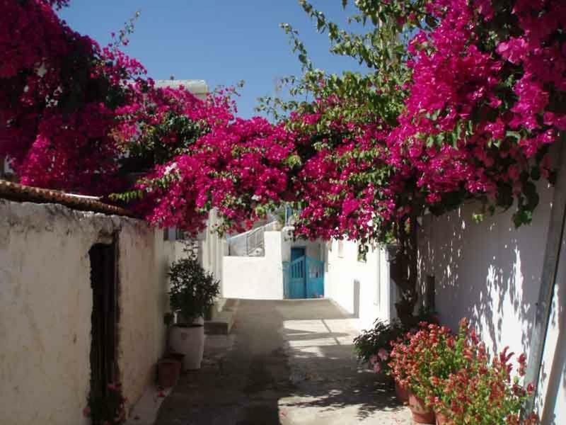 Tourloti Village House المظهر الخارجي الصورة
